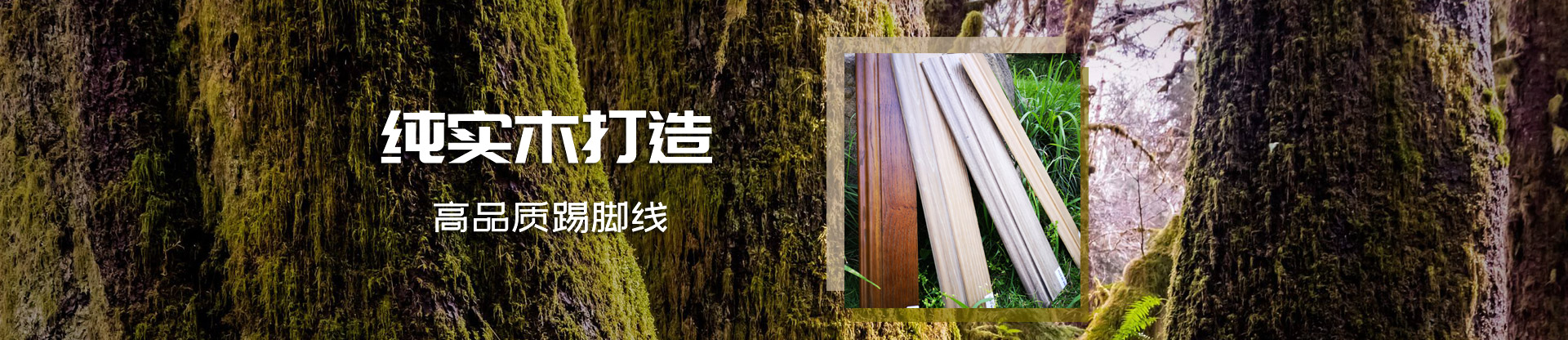 欧松板品牌前十名：千年舟筑就绿色健康家